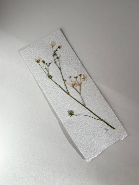 Plantable Bookmark - Baby’s Breath