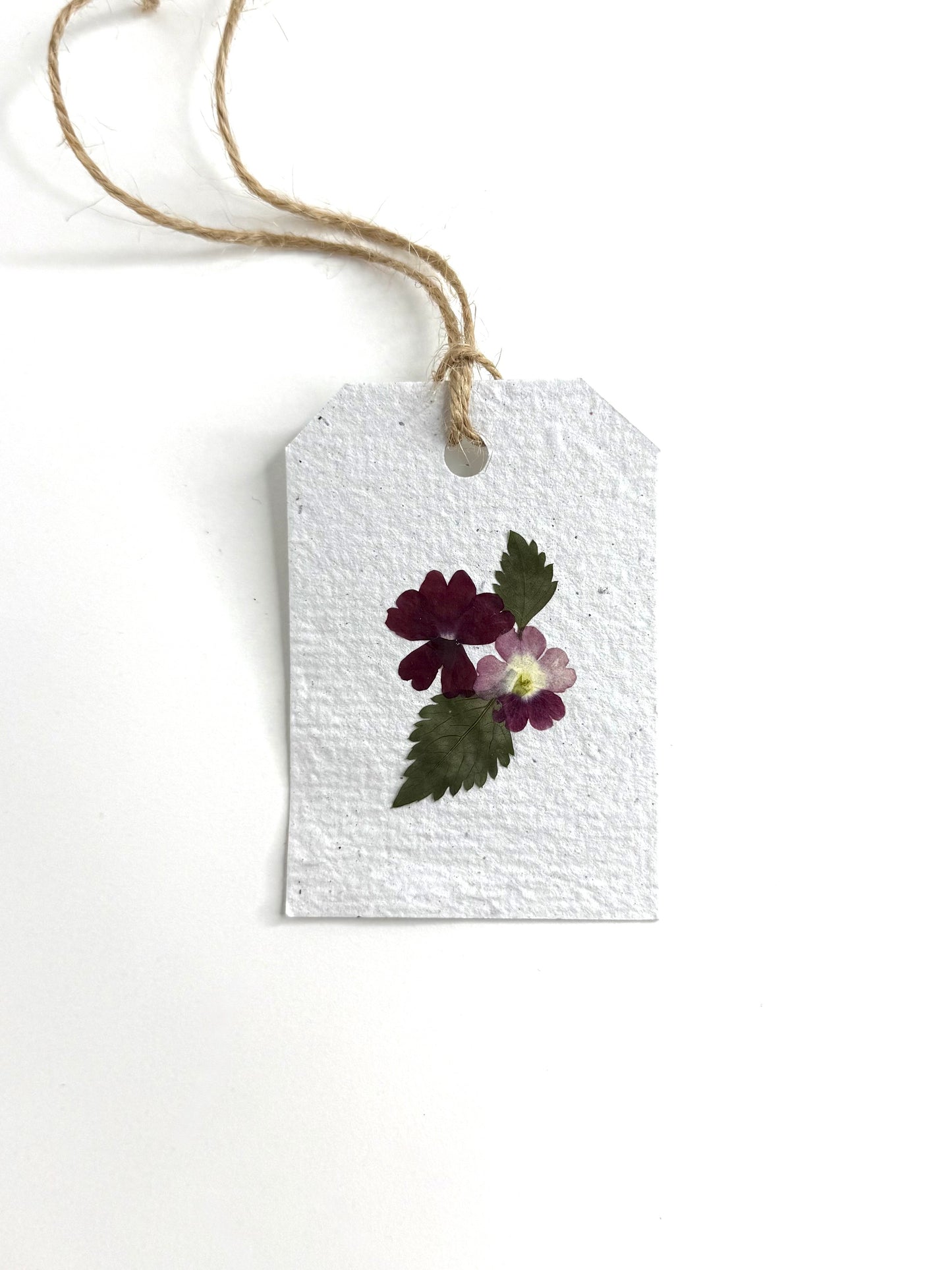 Red Verbena - Plantable Gift Tag