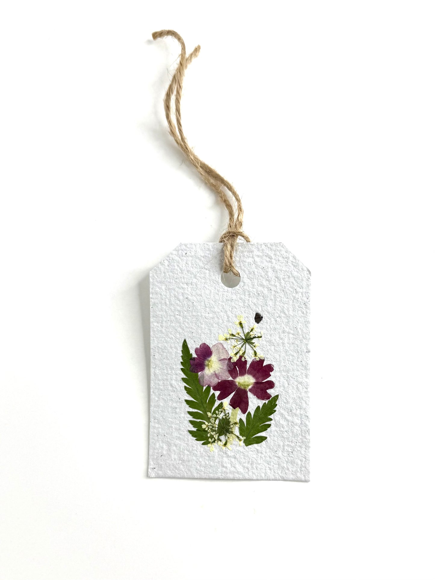 Verbena - Plantable Gift Tag
