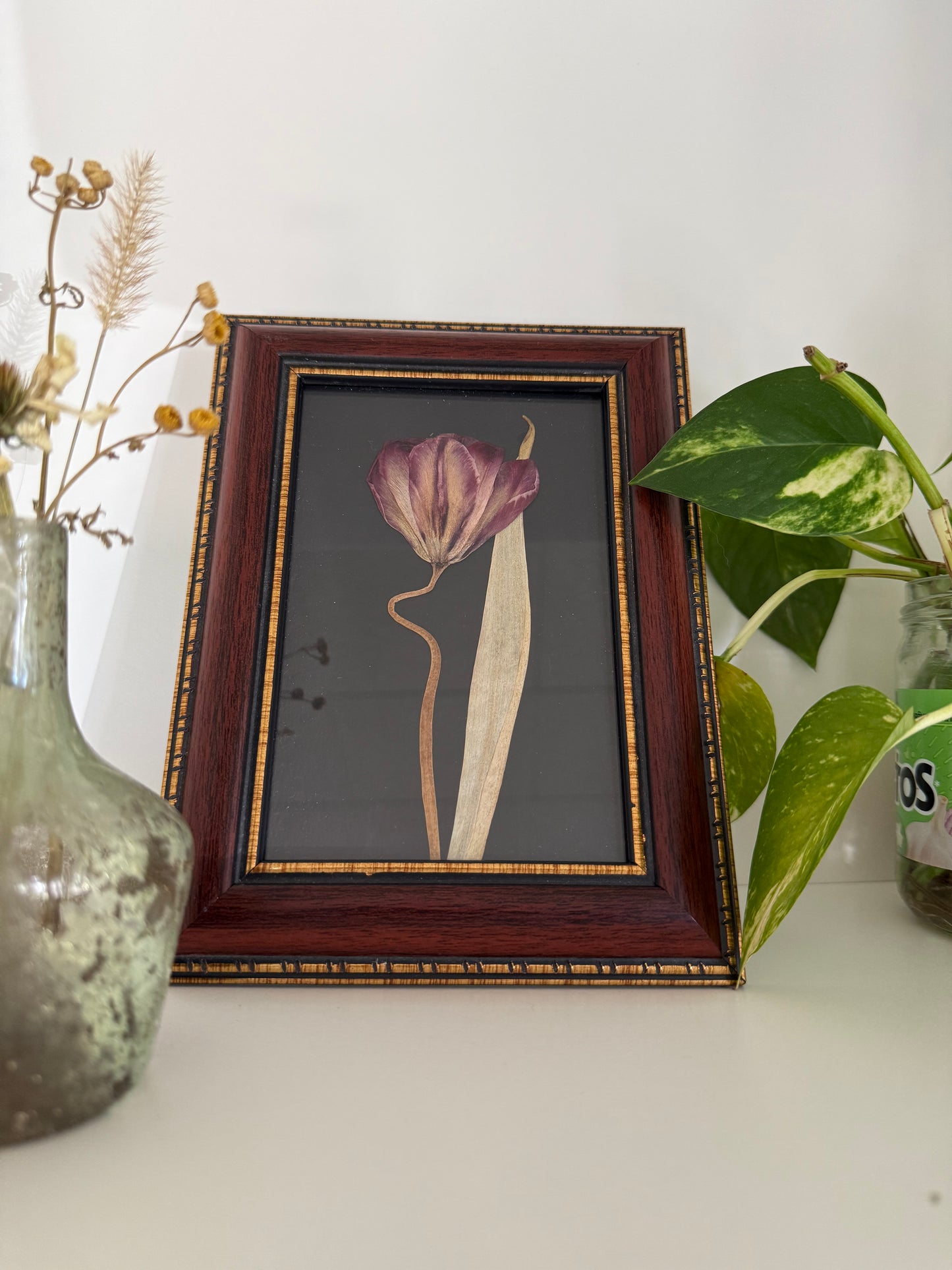 Tulipe - Cadre de Fleurs Pressées