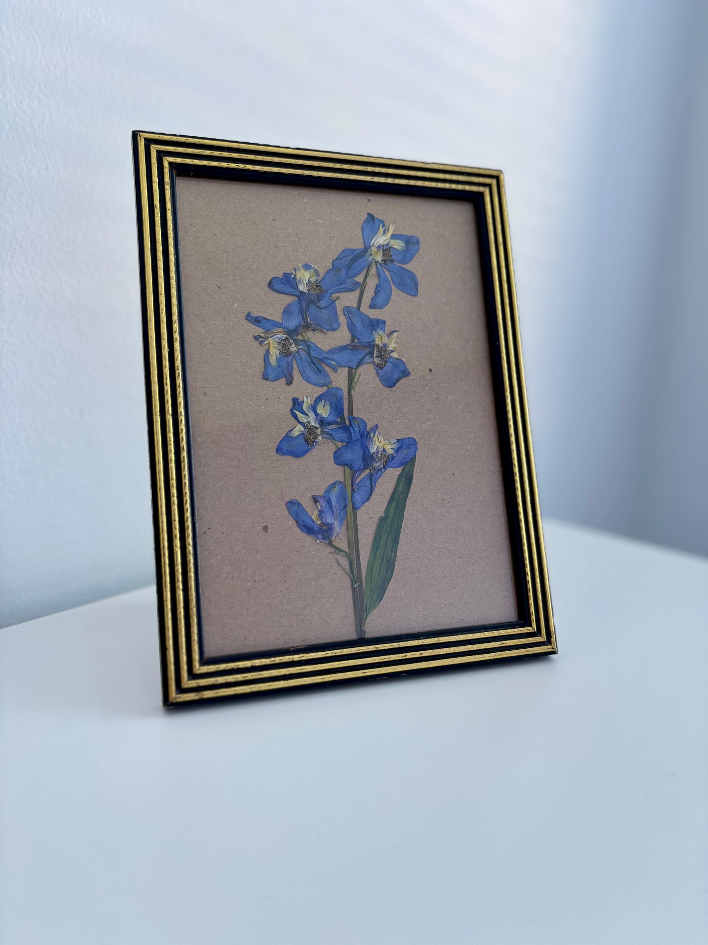 Delphinium - Pressed Flower Frame