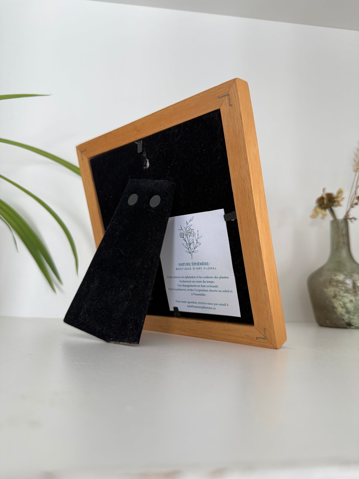 Yellow Poppy - Pressed Flower Frame