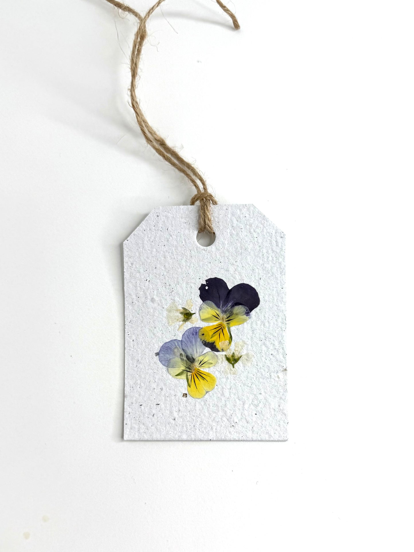 Pensées - Étiquette Cadeau Plantable