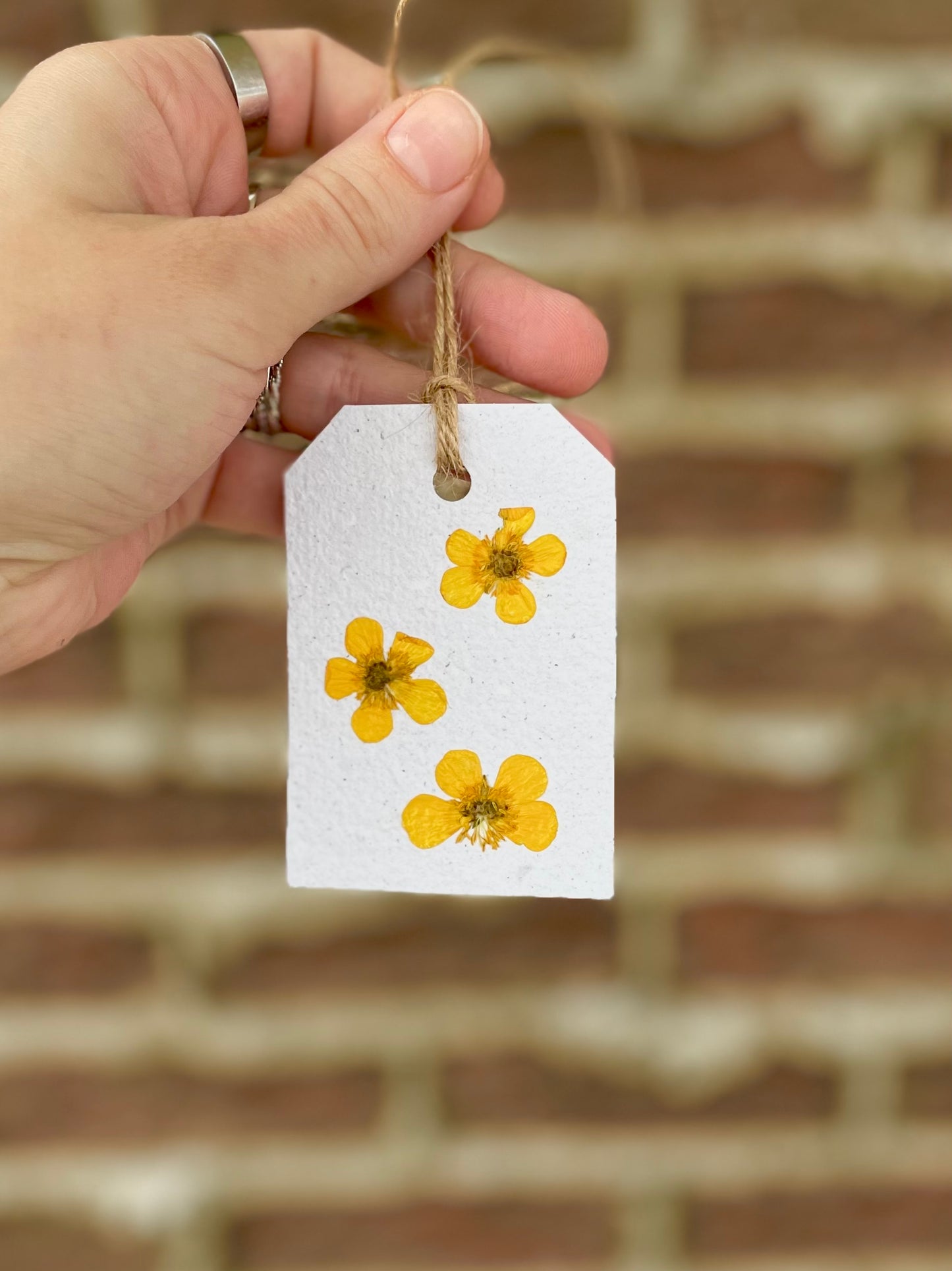 Buttercup Pressed Flower Gift Tag