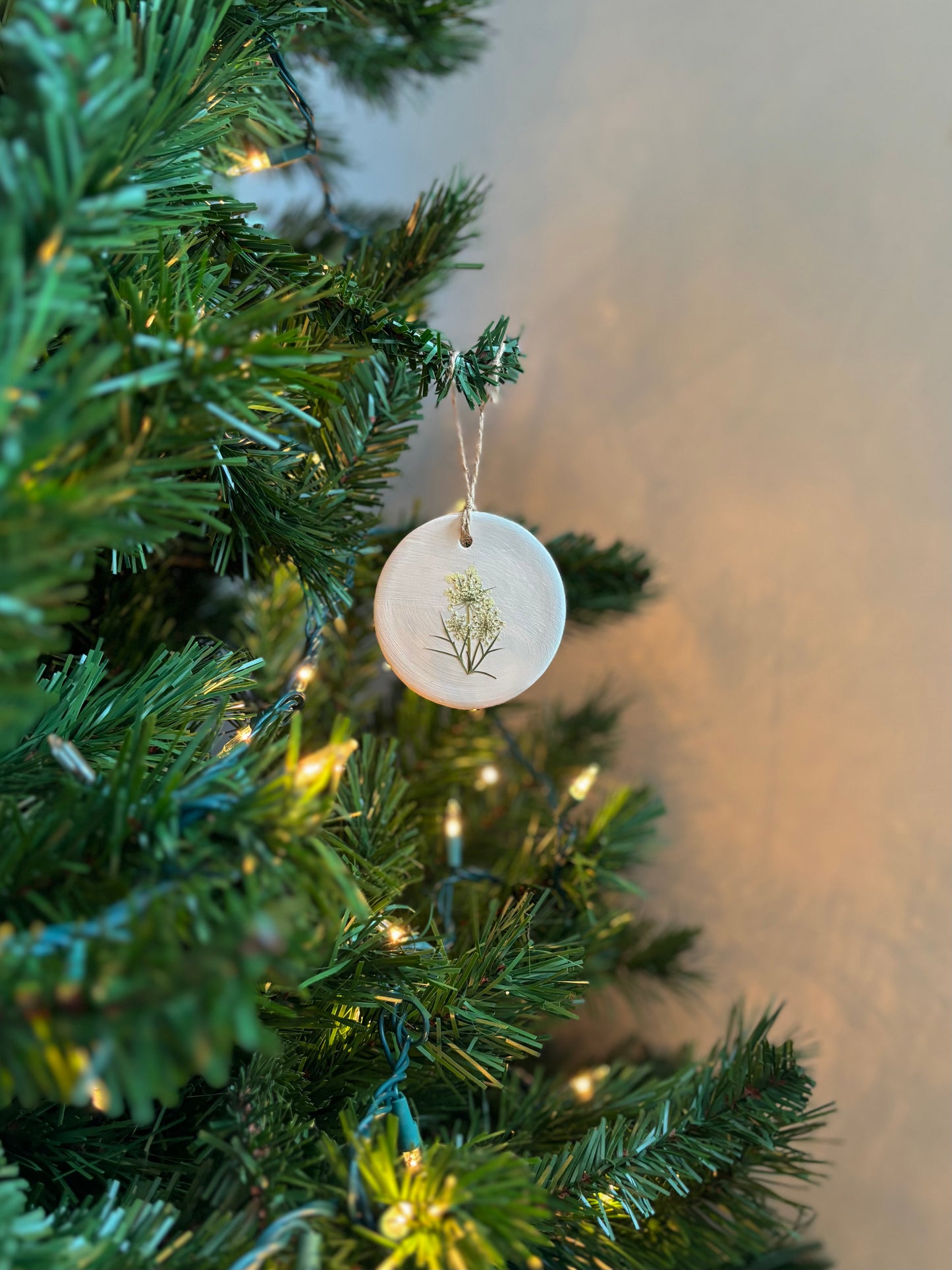 Ornement Fleurs Pressées - Carotte Sauvage