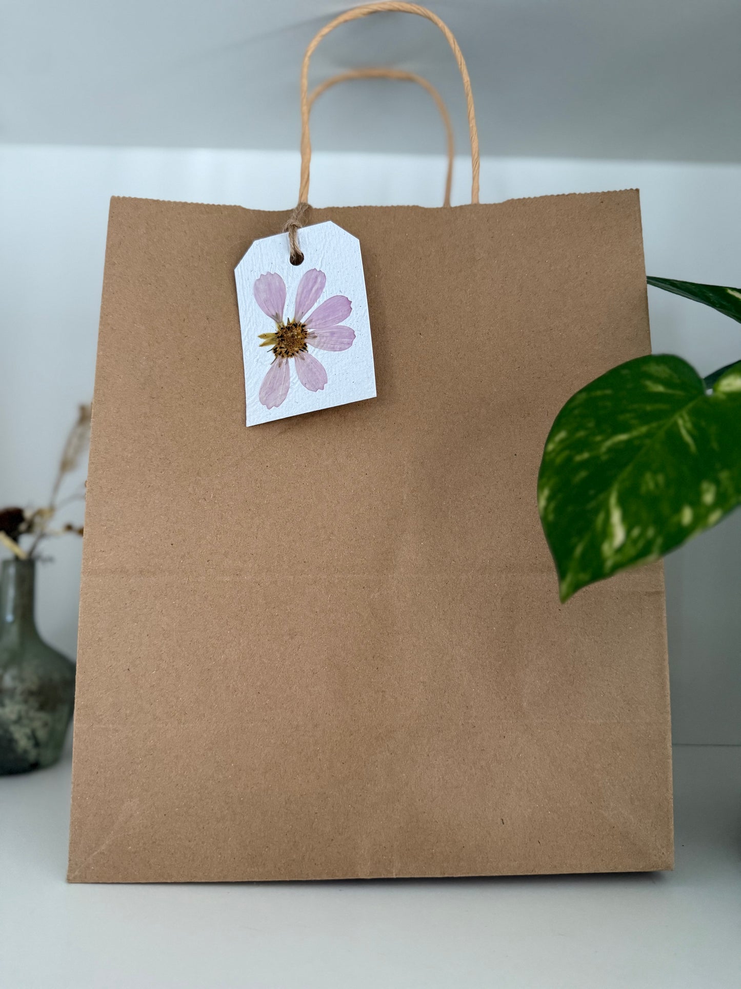 Pink Cosmos - Plantable Gift Tag