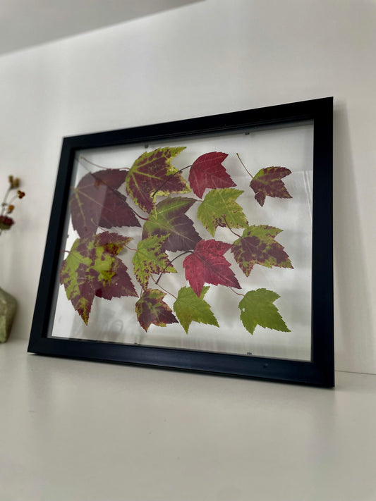 Falling Leaves - Pressed Flower Frame