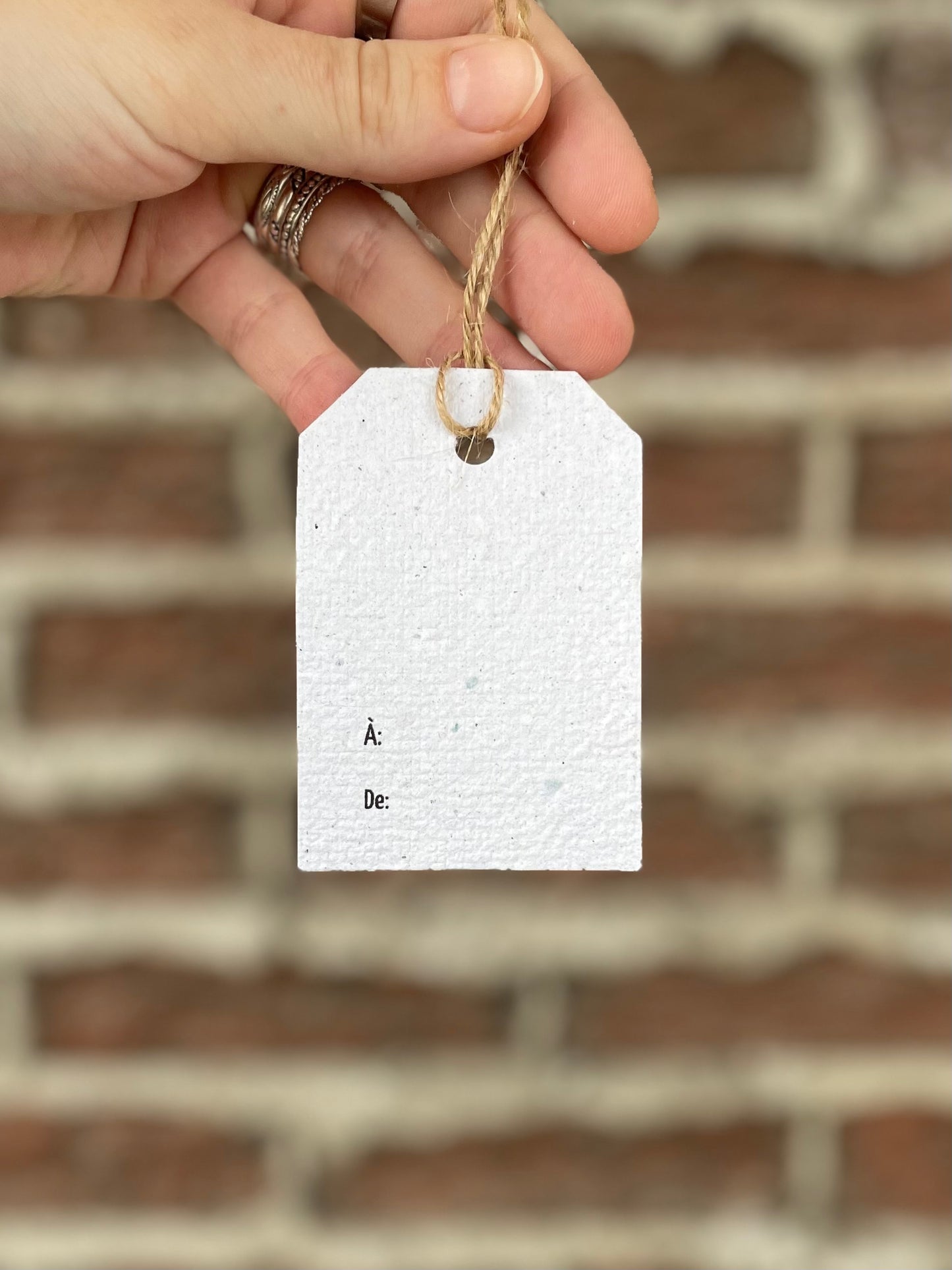 Pressed Conifer Gift Tag