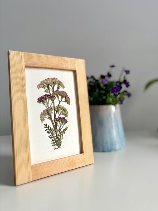 Bouquet Achillée - Cadre de Fleurs Pressées