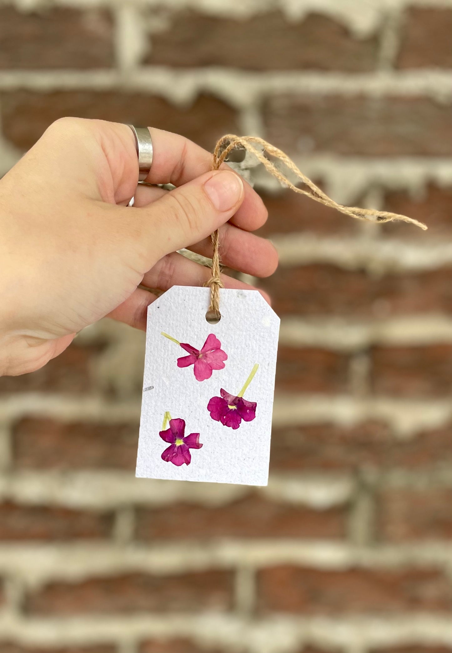 Pink Pressed Flower Gift Tag