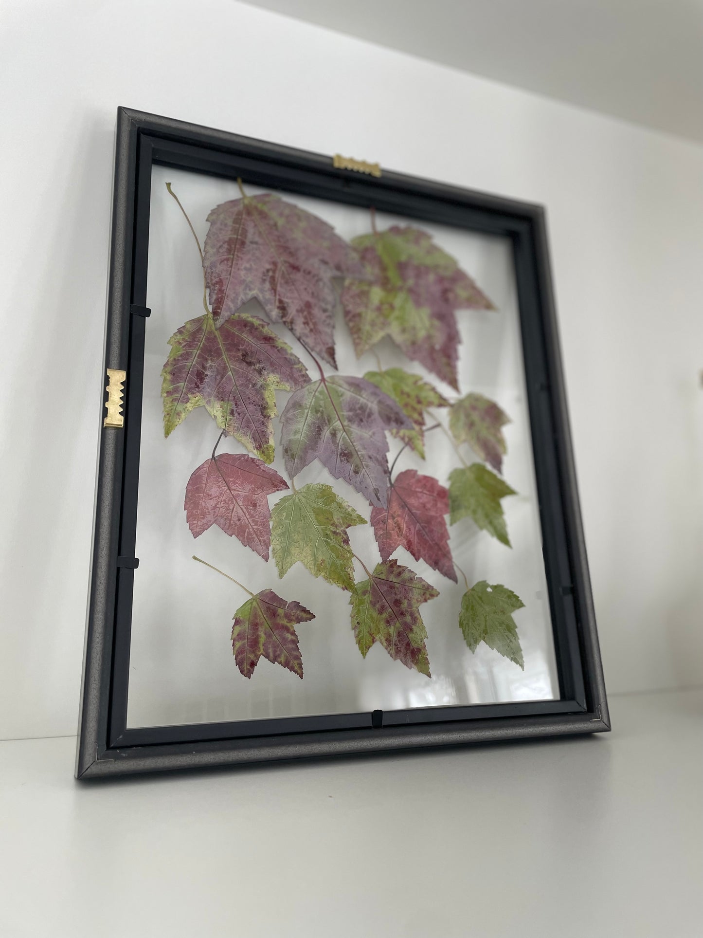 Falling Leaves - Pressed Flower Frame