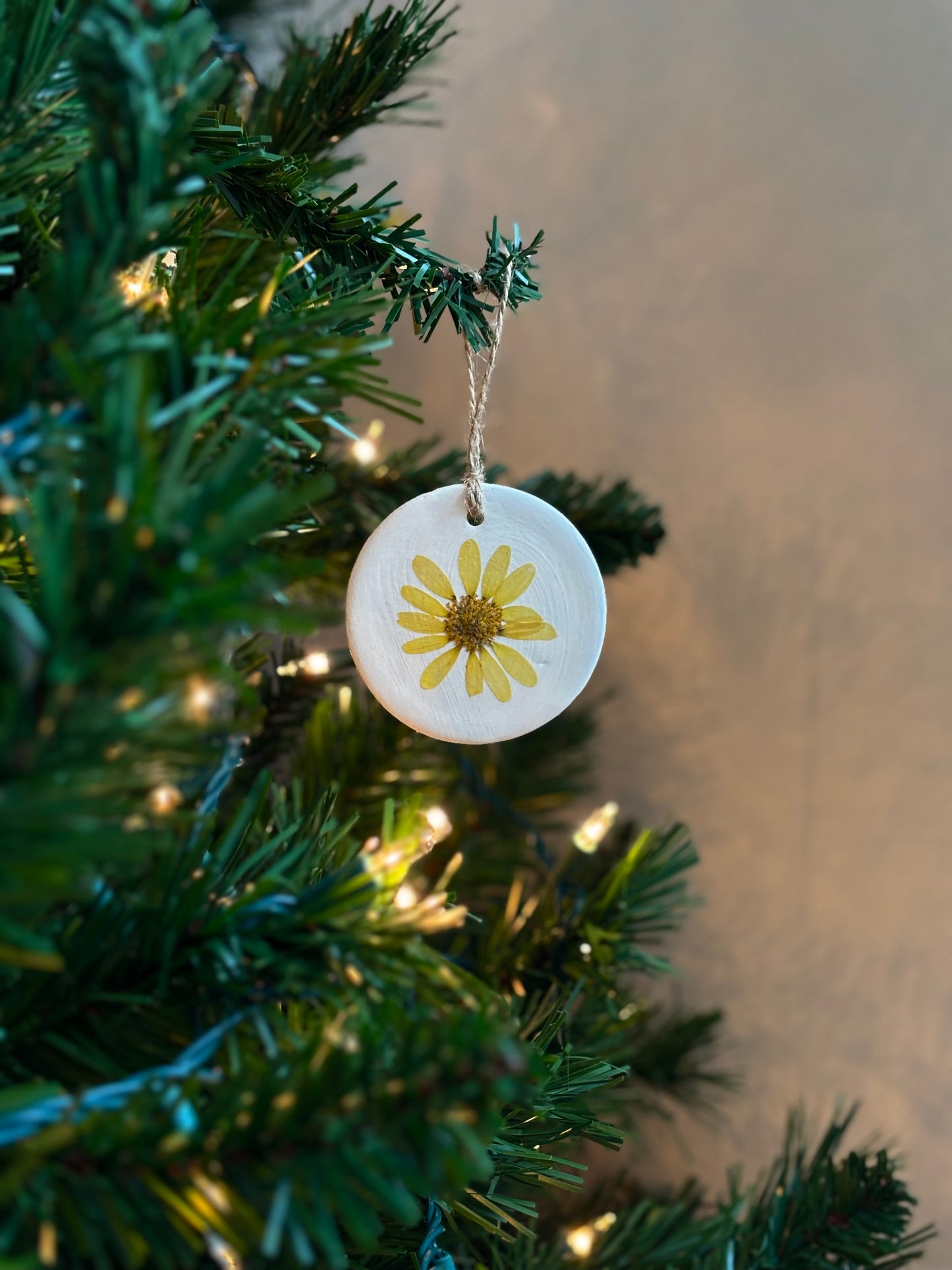 Ornement Fleurs Pressées - Marguerite