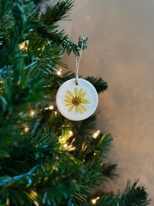 Ornement Fleurs Pressées - Marguerite