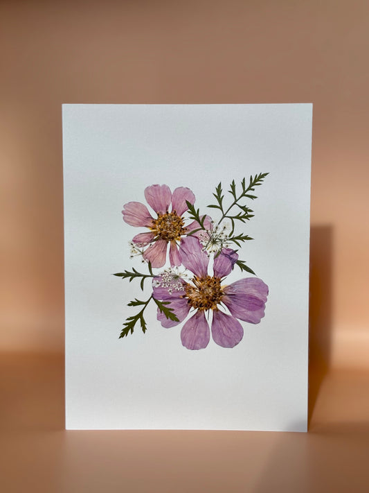 Cartes de vœux - Cosmos Double