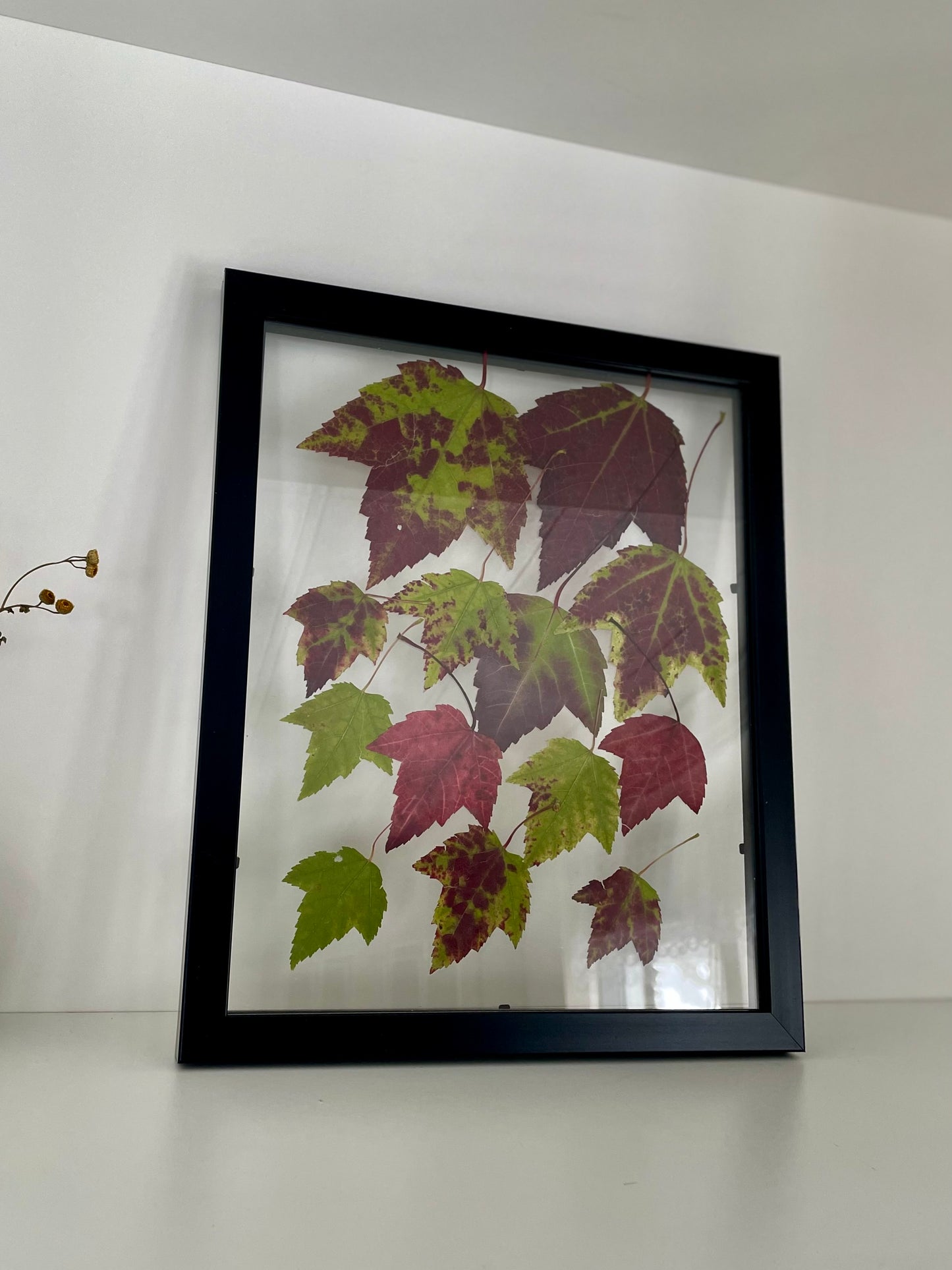 Falling Leaves - Pressed Flower Frame