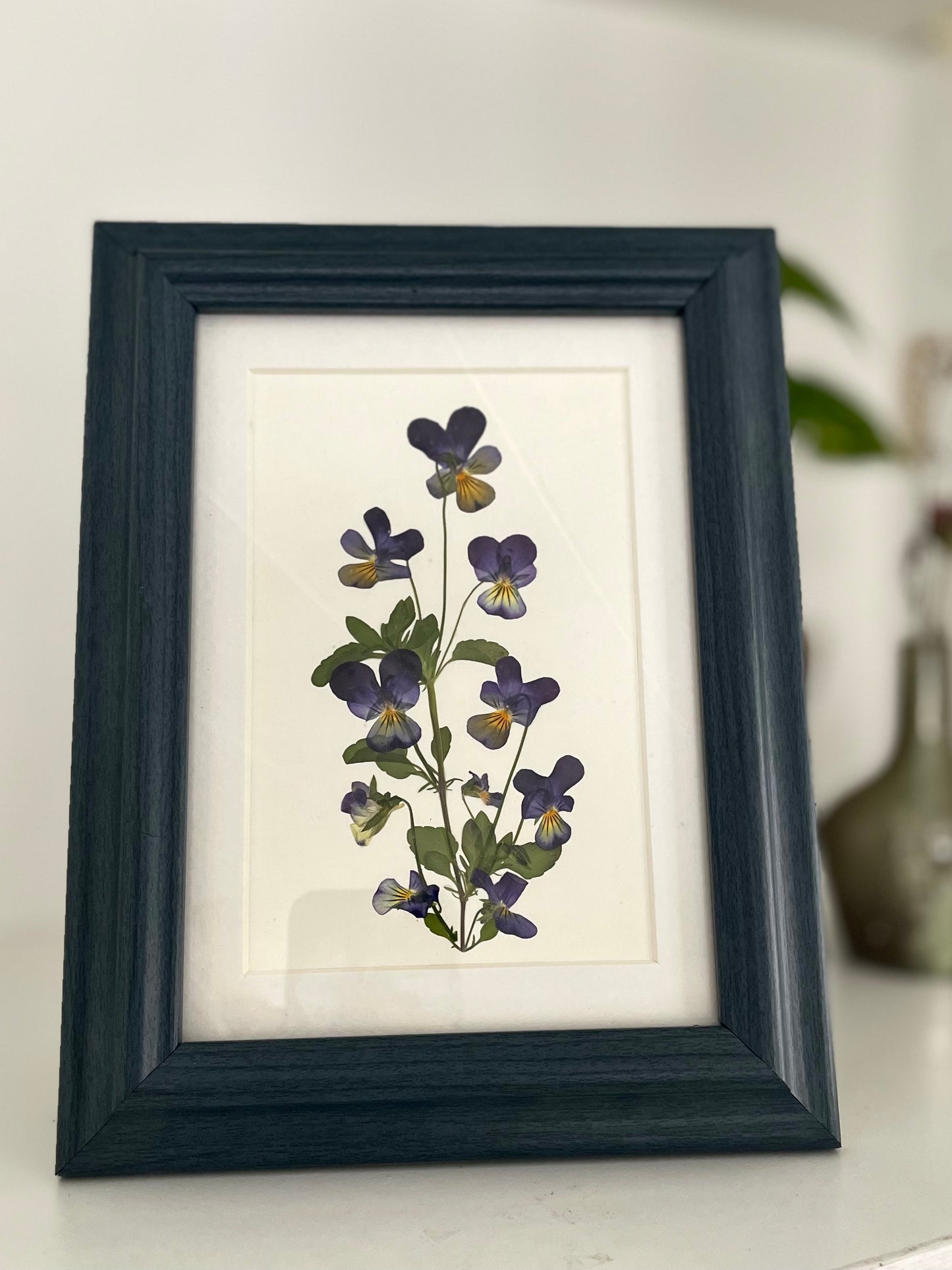 Blue Pansy - Pressed Flower Frame