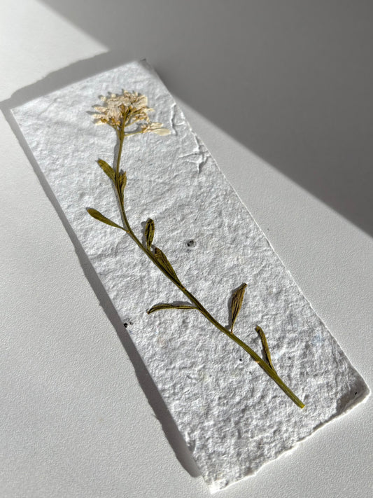 Plantable Bookmark