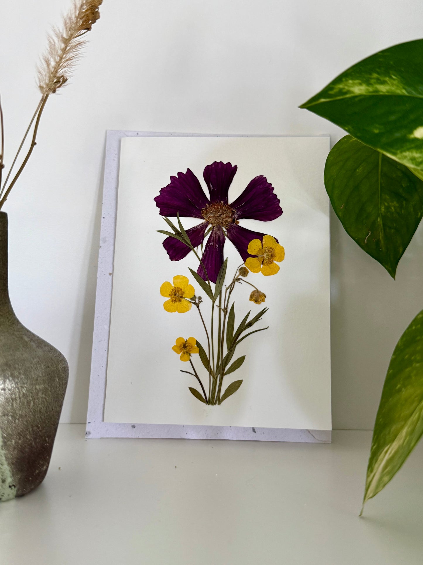 Cosmos Buttercup - Carte de Voeux de Fleurs Pressées