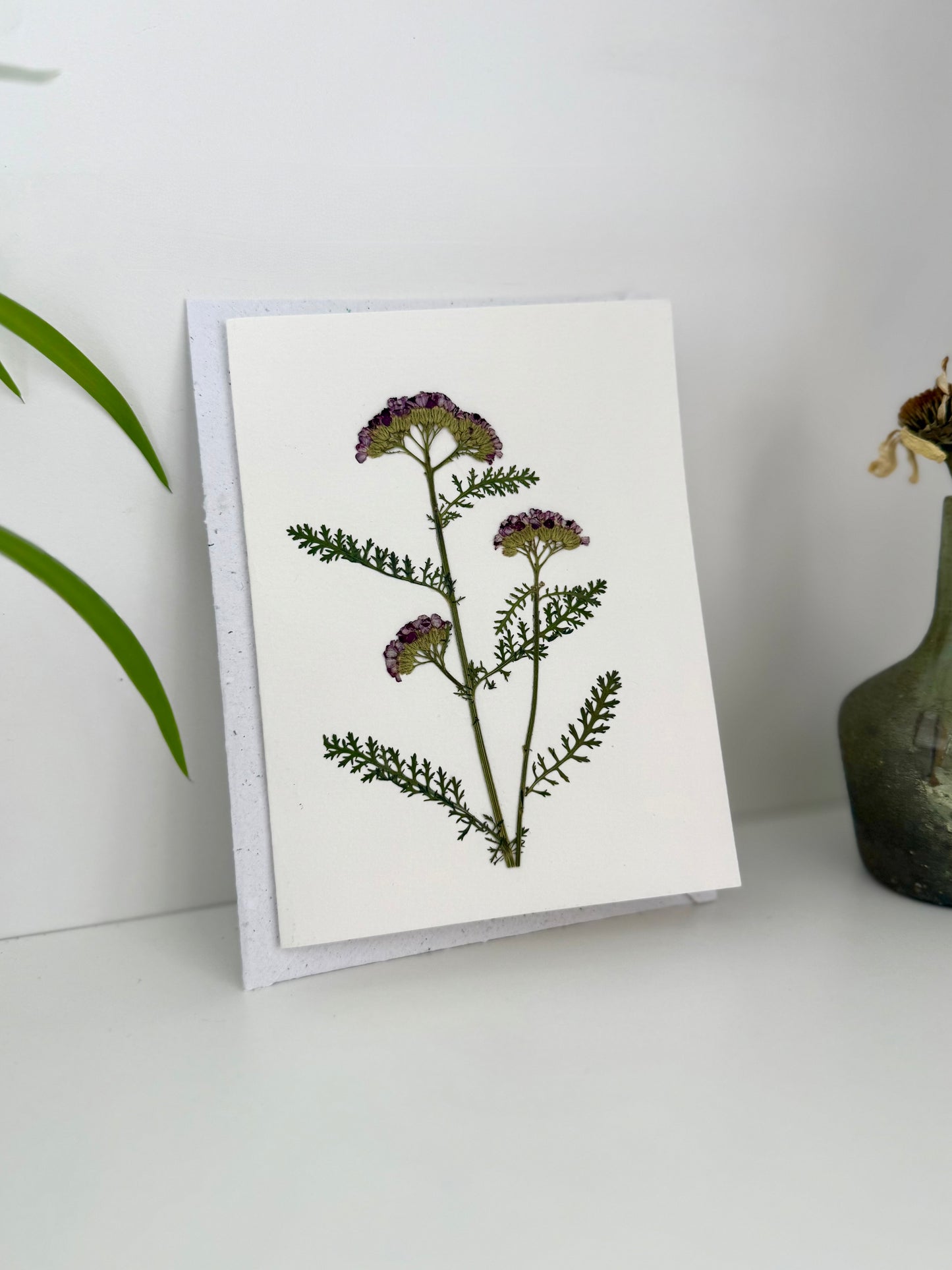 Bouquet Achillée - Carte de Voeux de Fleurs Pressées