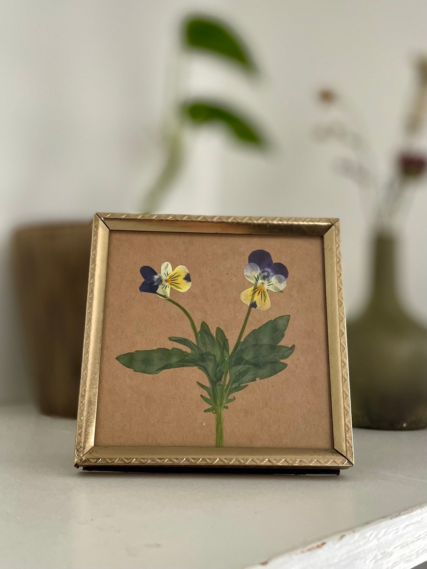 Pansy Pressed Flower Frame