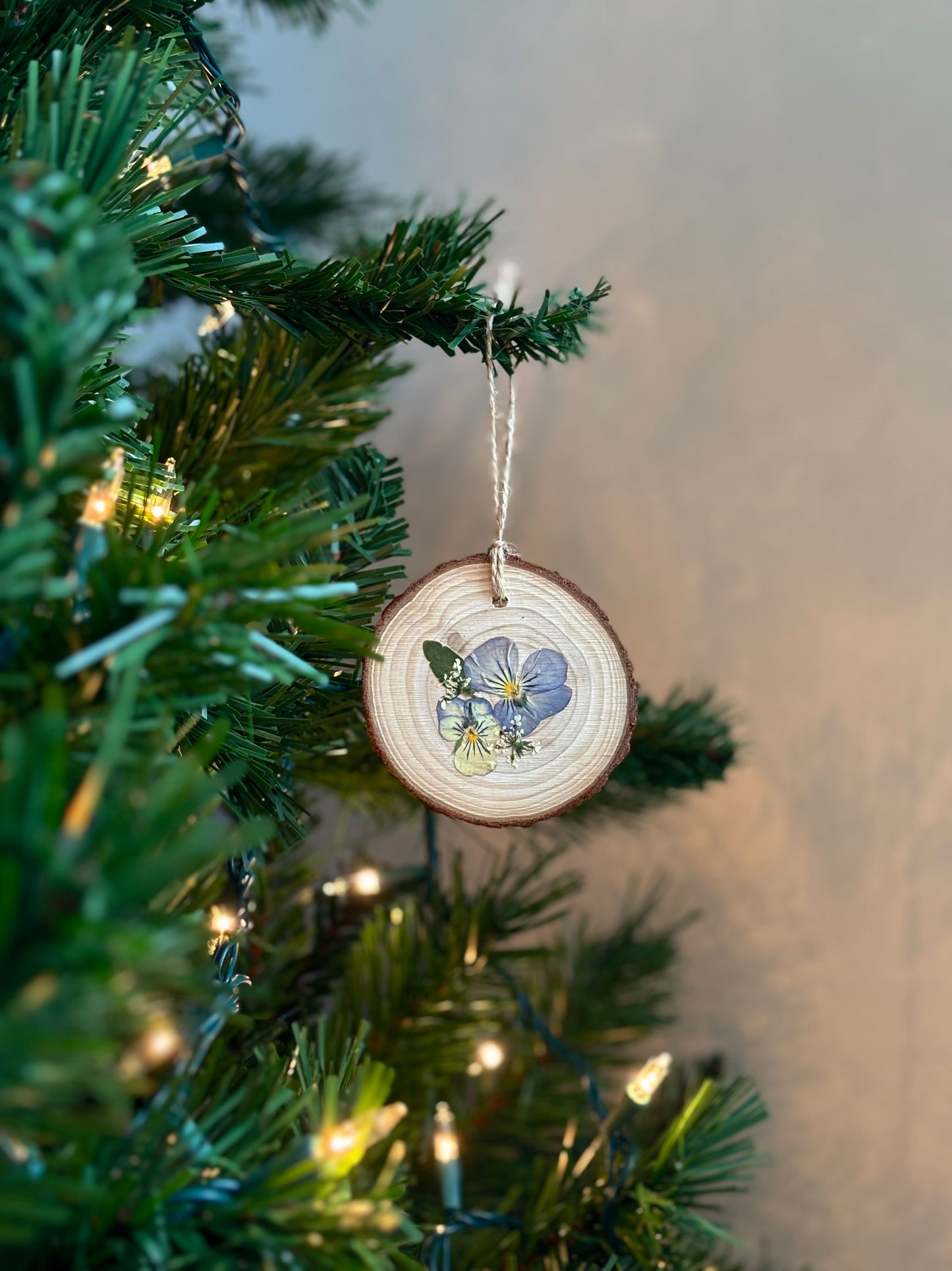 Ornement Fleurs Pressées - Pensées