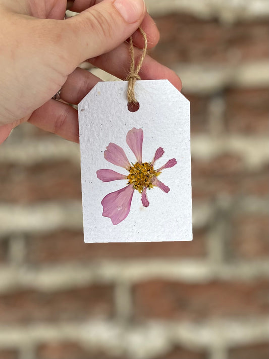 Cosmos Pressed Flower Gift Tag