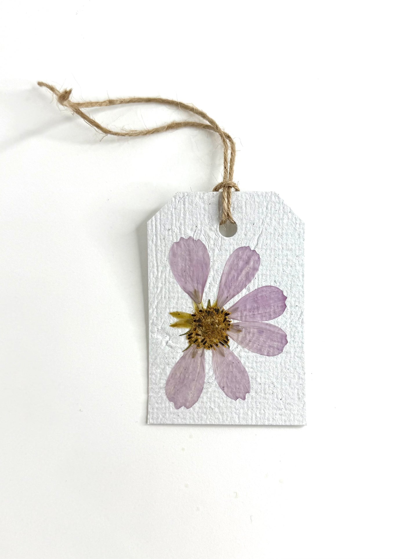 Pink Cosmos - Plantable Gift Tag