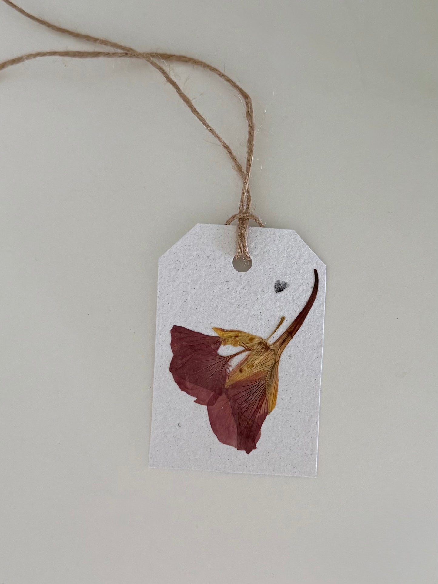 Plantable Gift Tag - Nasturtium