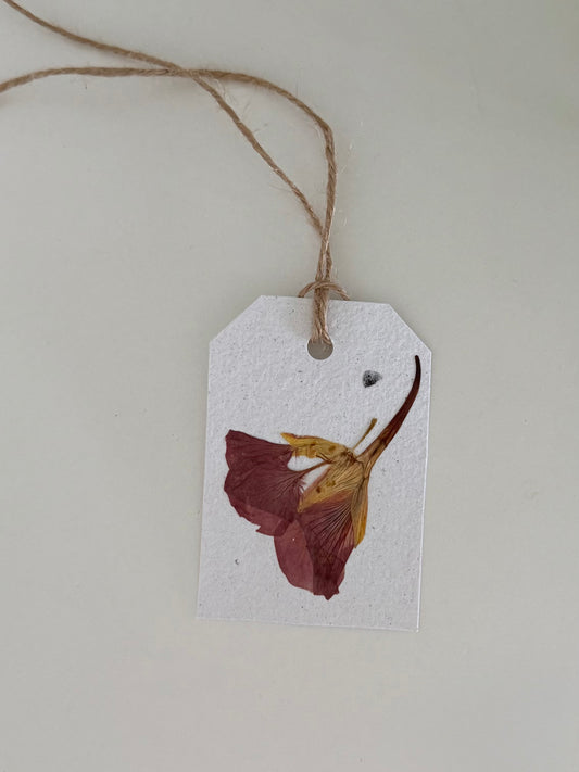 Étiquette Cadeau à Planter - Capucine