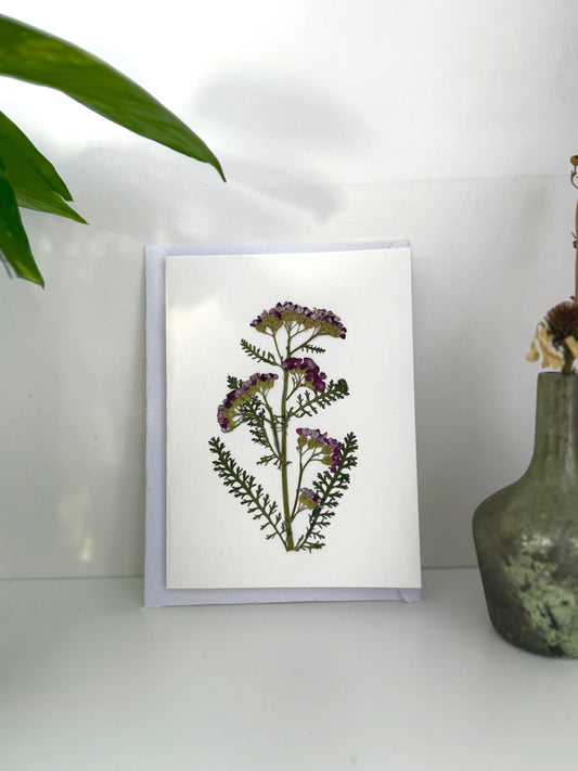 Achillée Rouge - Carte de Voeux de Fleurs Pressées