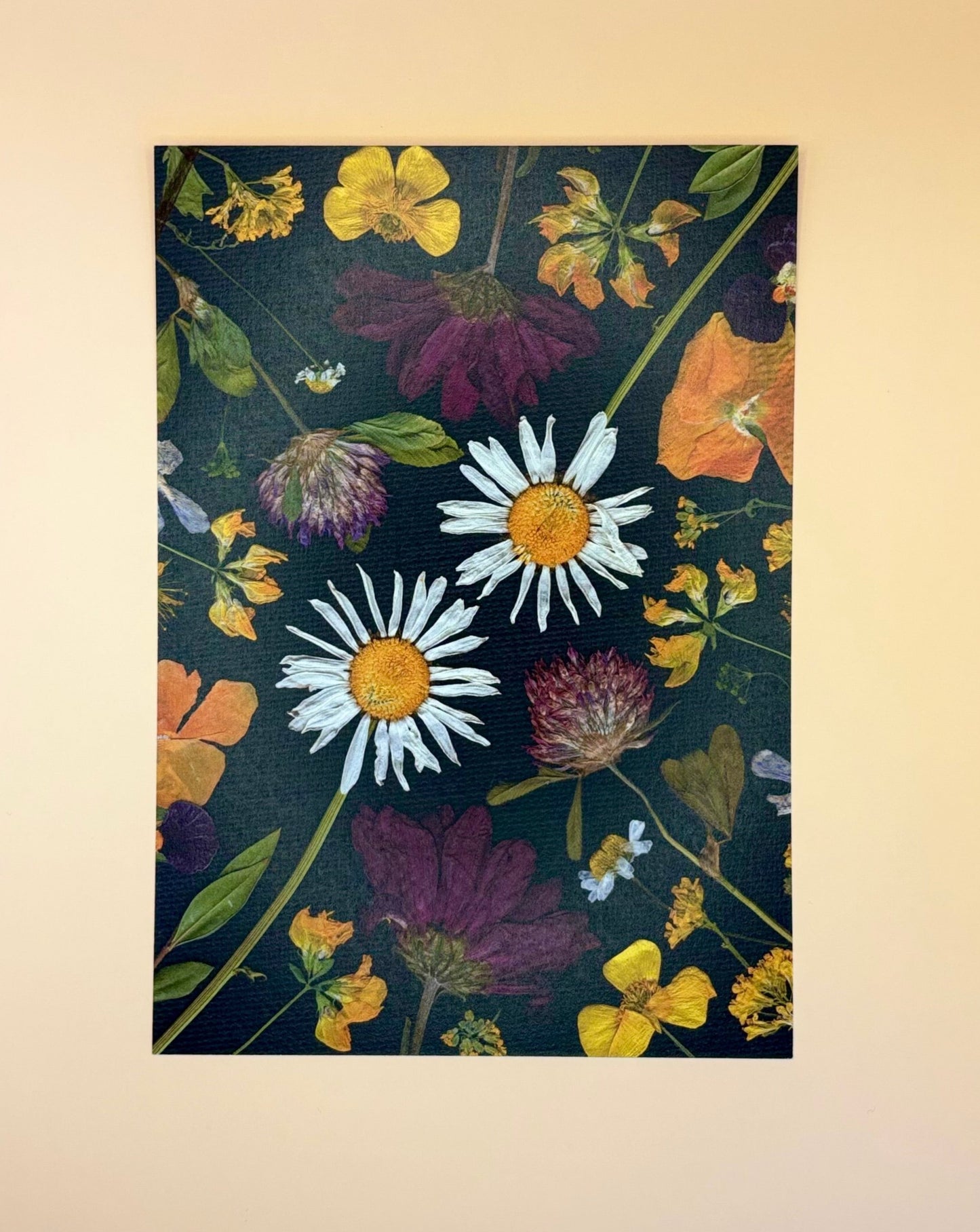 Pressed Flower Print - Daisies