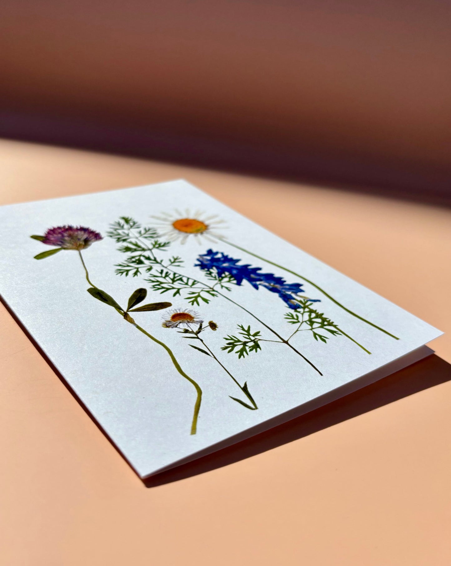 Greeting Card - Little Field