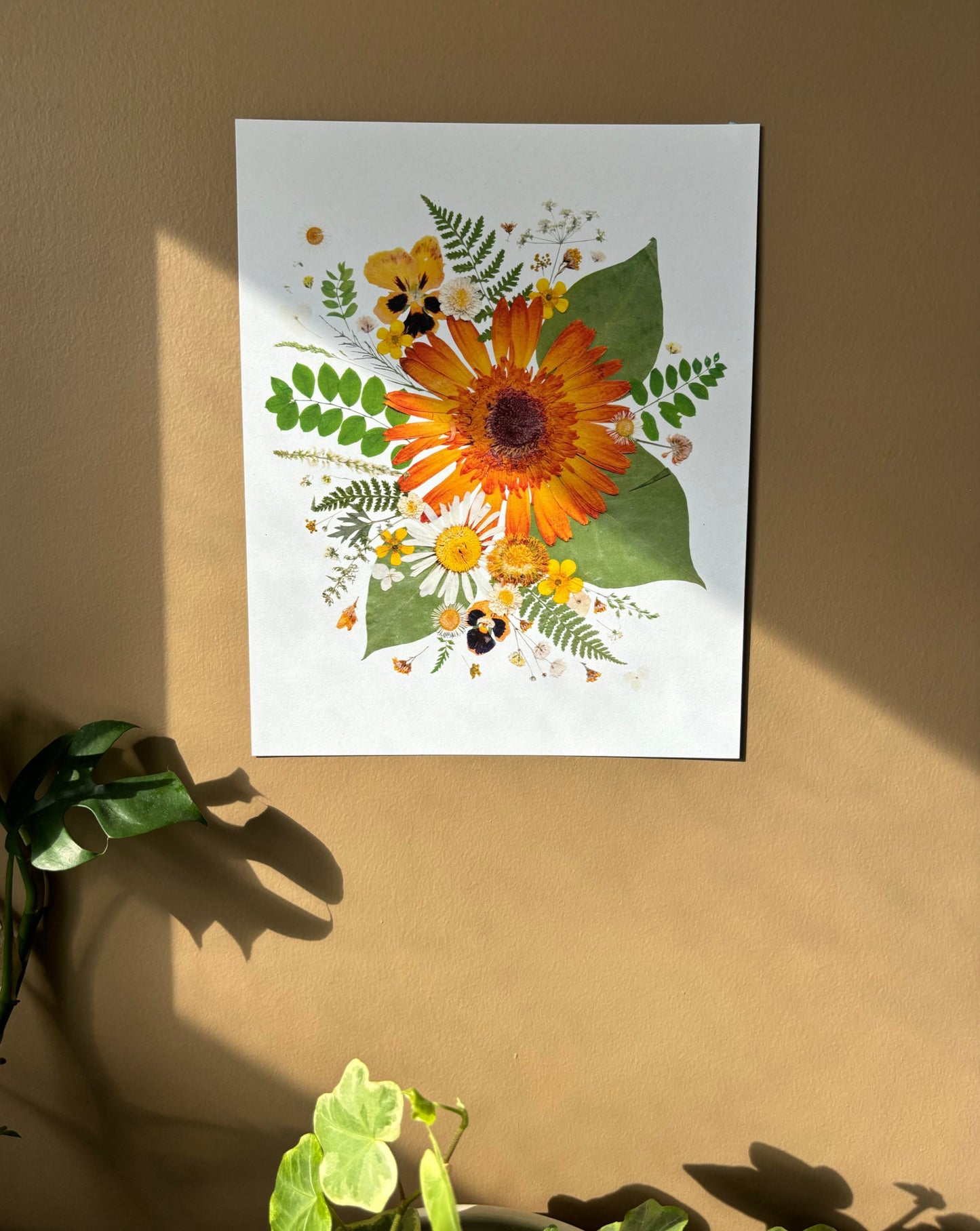 Pressed Flower Print - Gerbera Collage