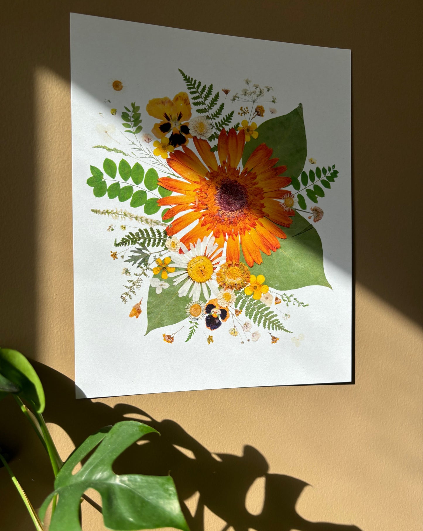 Pressed Flower Print - Gerbera Collage