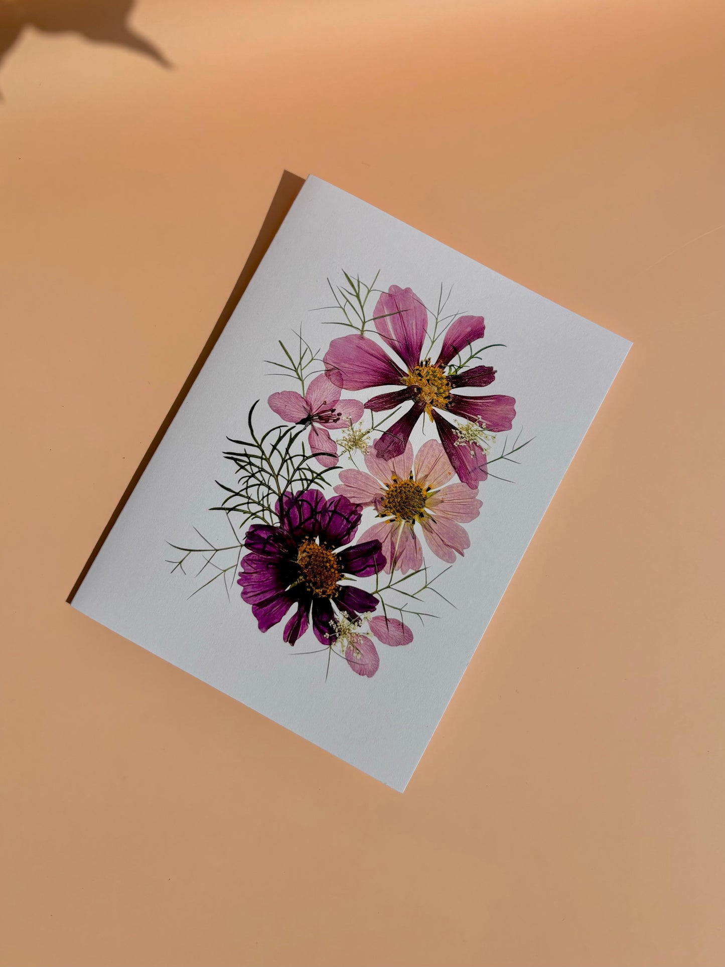 Greeting Card - Cosmos