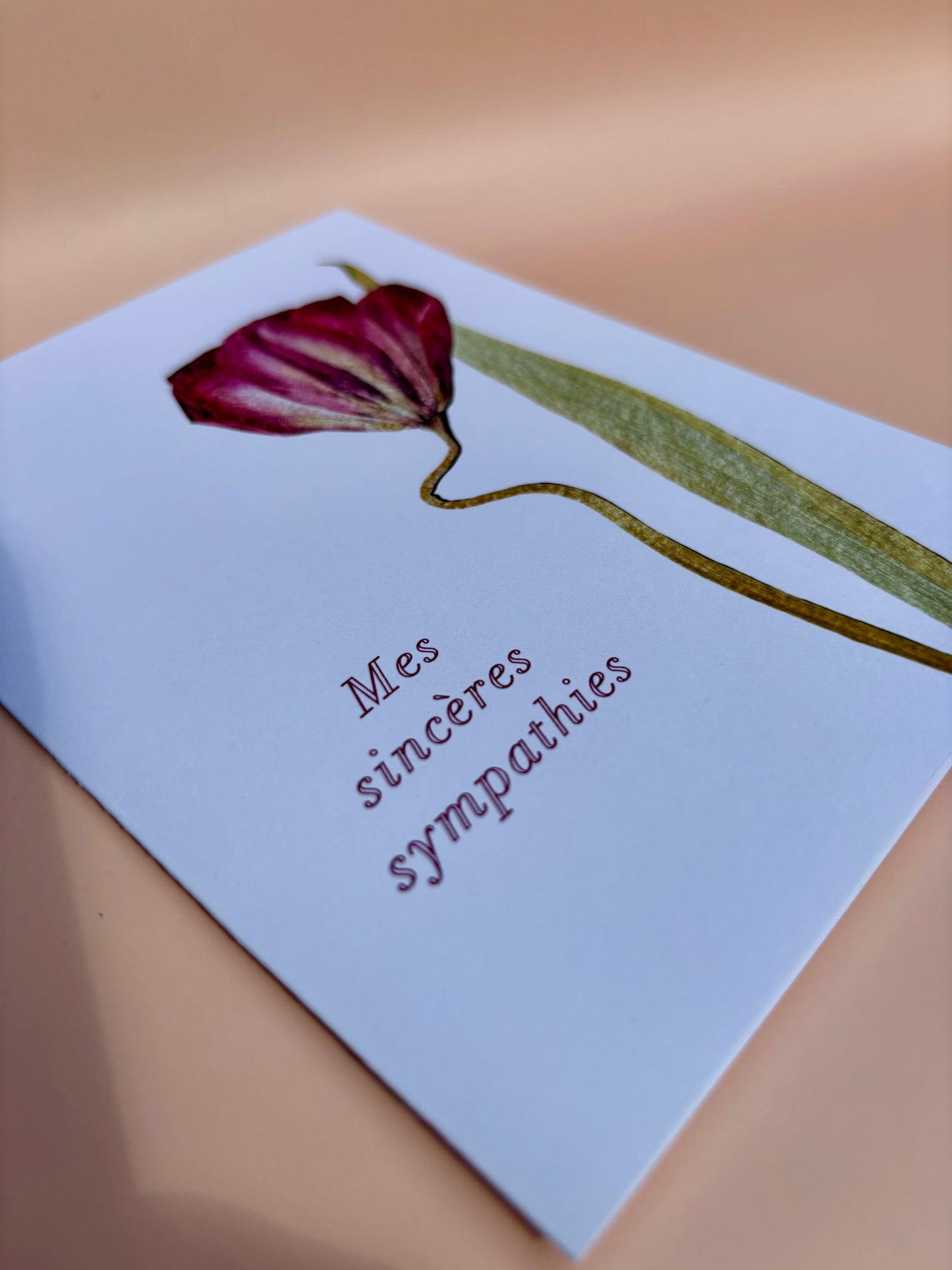 Carte de voeux - Tulipe 'Mes sincères sympathies'