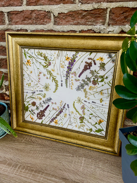 "In the fields" Original Pressed Flower Frame