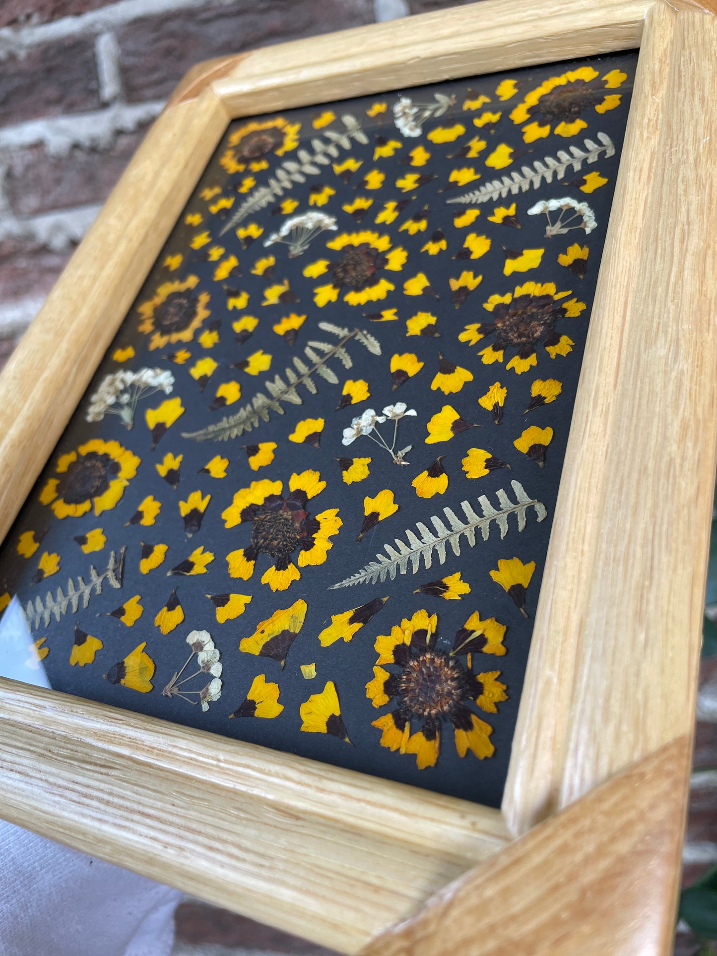 "Coreopsis" Original Pressed Flower Frame