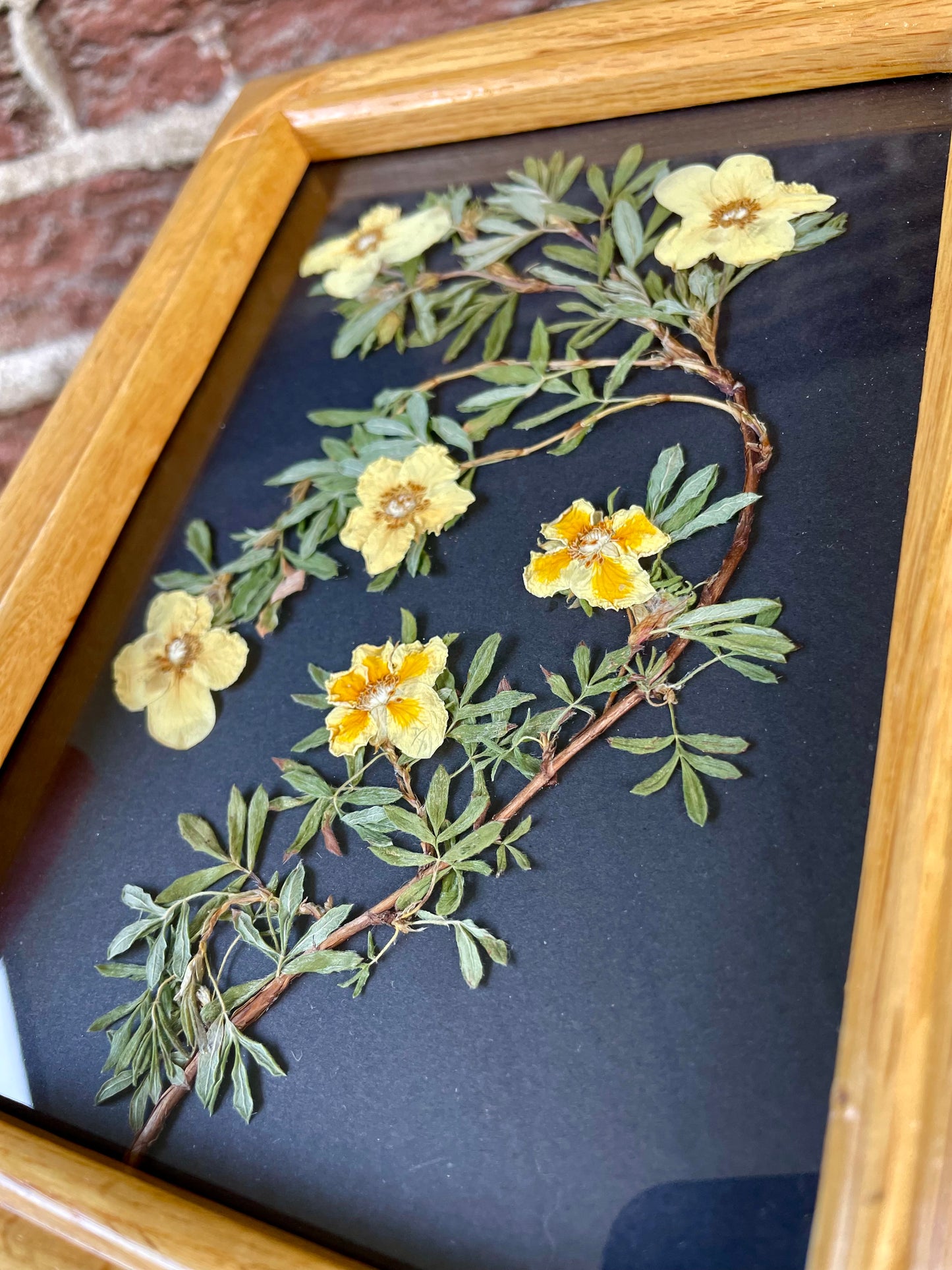 "Yellow" Original Pressed Flower Frame