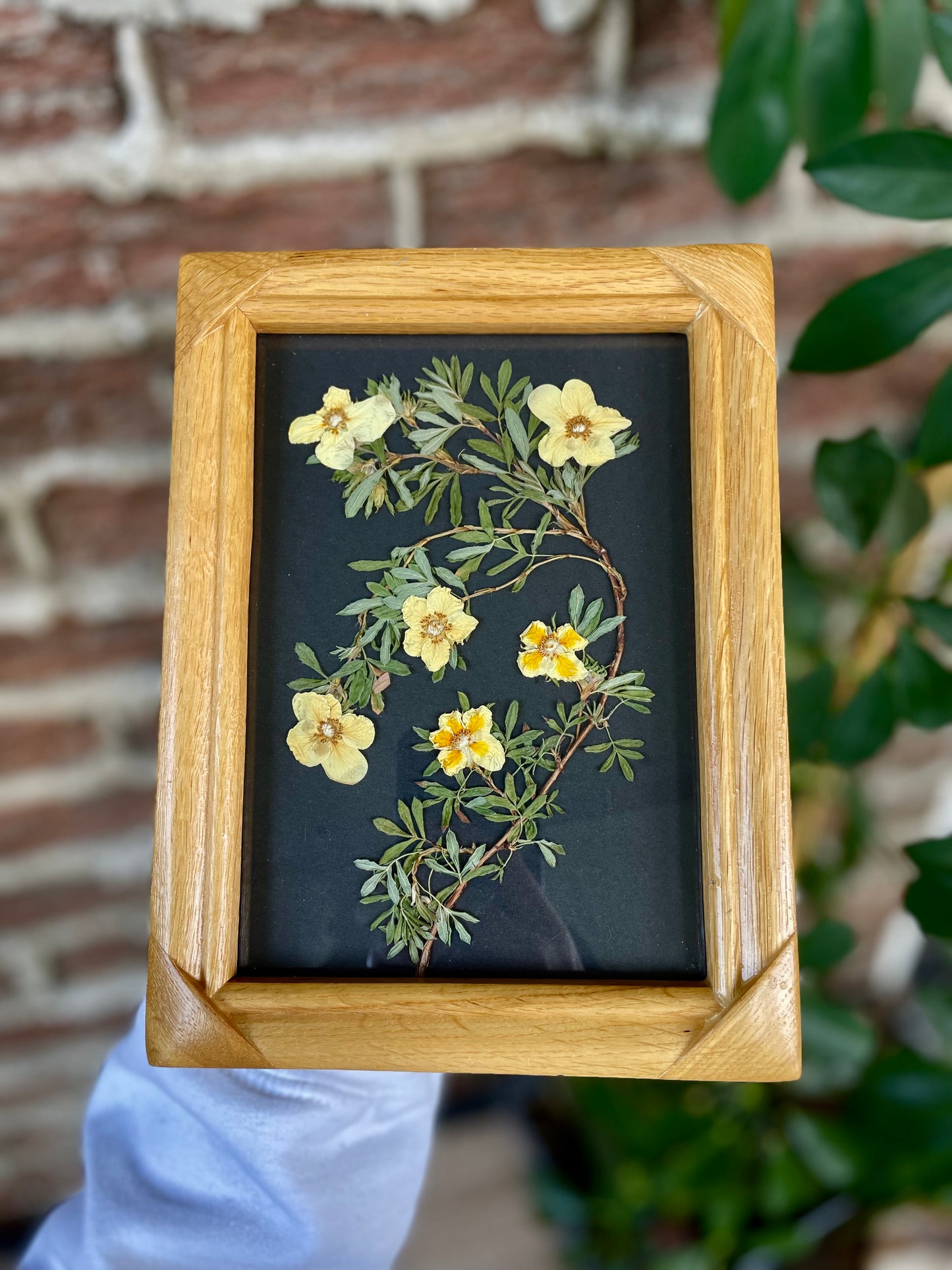 "Yellow" Original Pressed Flower Frame