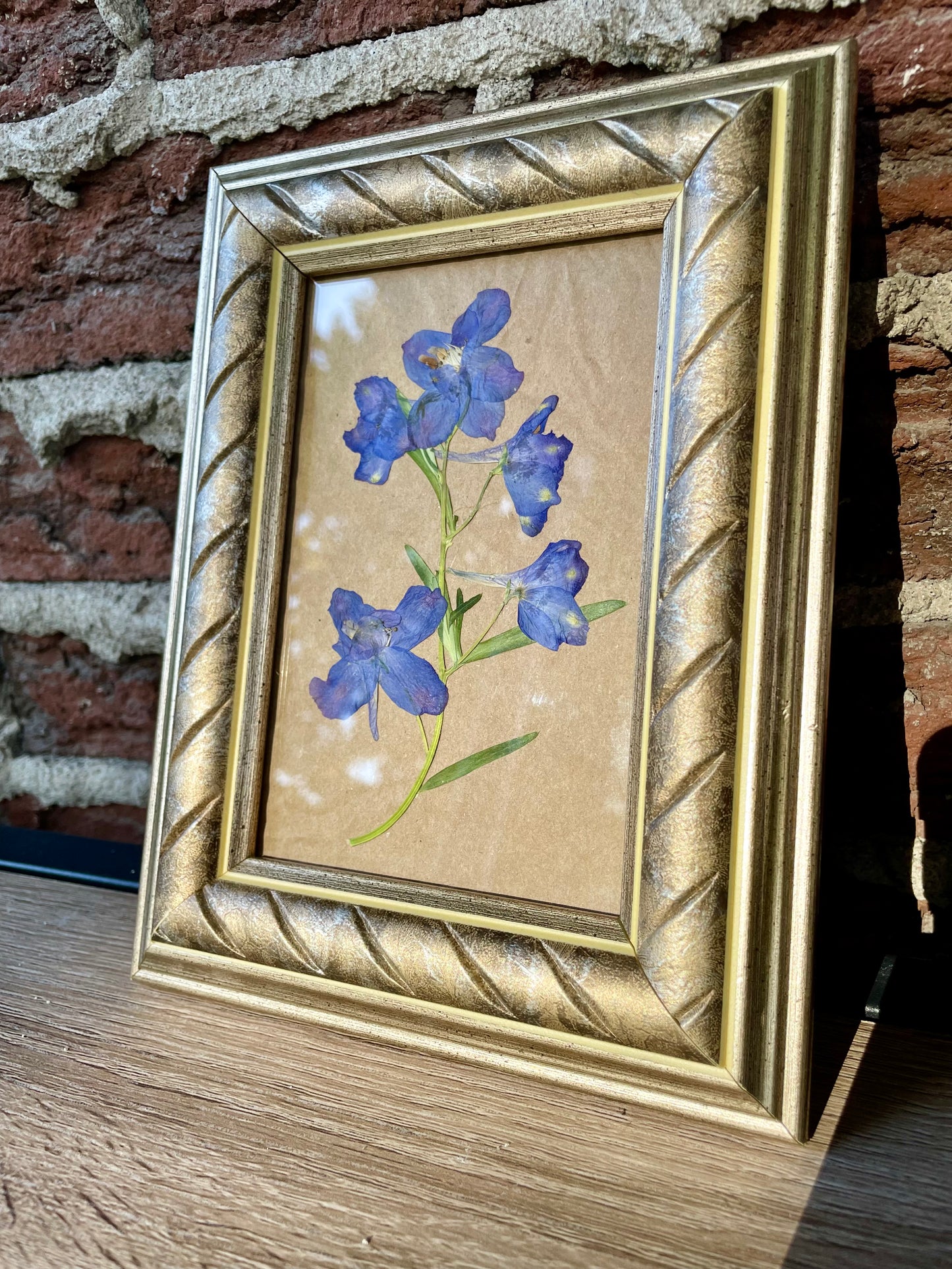 "Delphinium" - Cadre Original de Fleurs Pressées