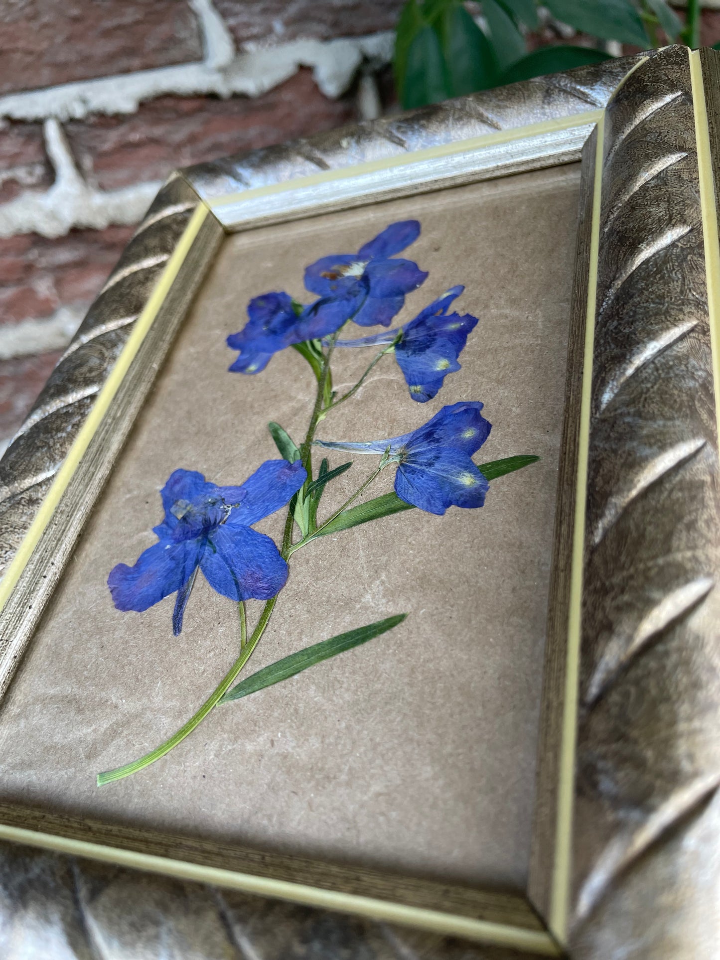 "Delphinium" - Cadre Original de Fleurs Pressées