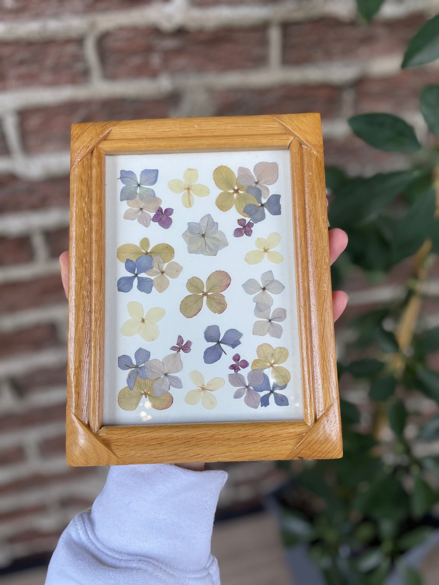 "Hydrangea Mosaic" Original Pressed Flower Frame